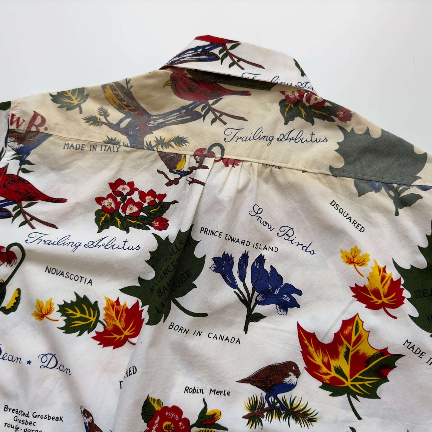 Dsquared2 F/W 2005 'Snow Birds' Button-up Shirt